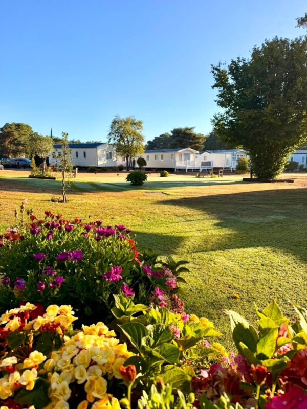 Ashley Heath Caravan Park Caravan Park