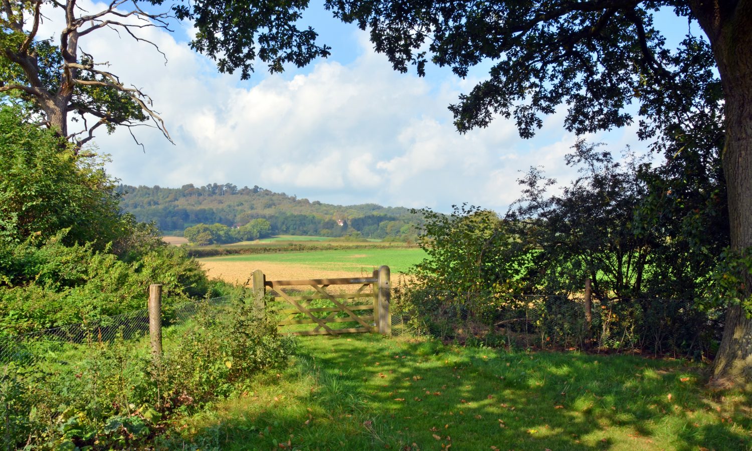 Sussex Countryside